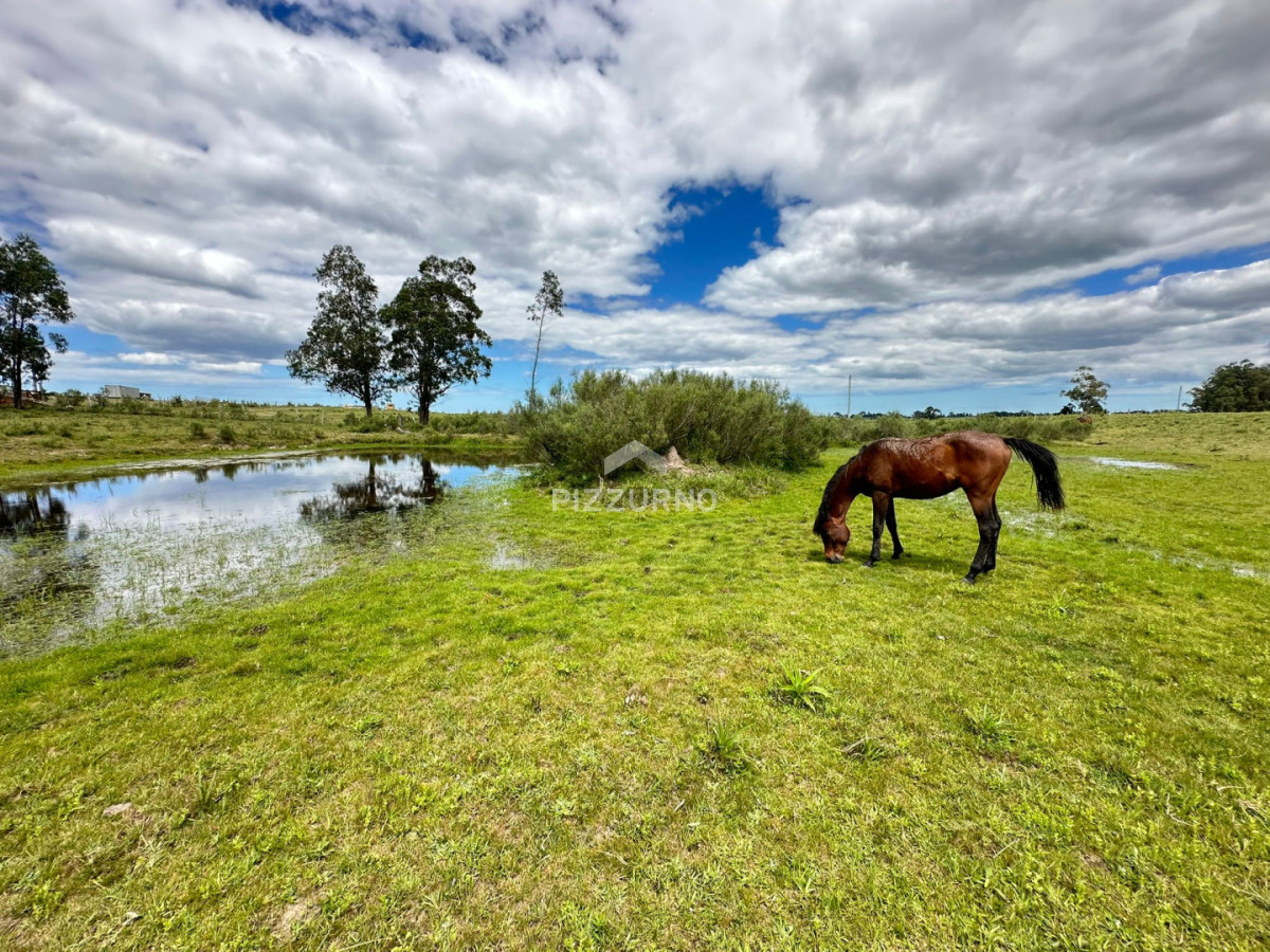 Chacra Ref.1190 - Chacra en venta, 5 hectareas, ruta 12, Maldonado