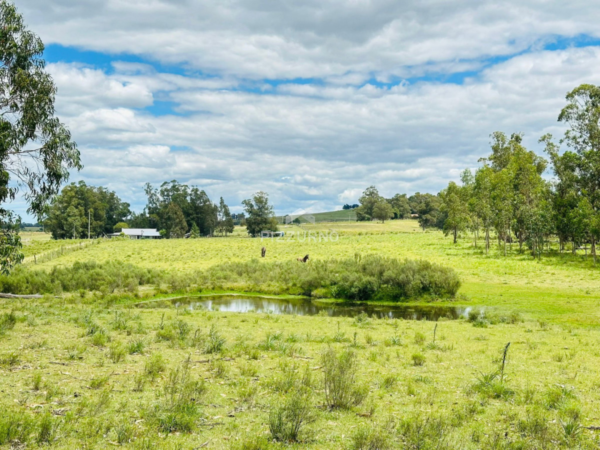 Chacra Ref.1190 - Chacra en venta, 5 hectareas, ruta 12, Maldonado