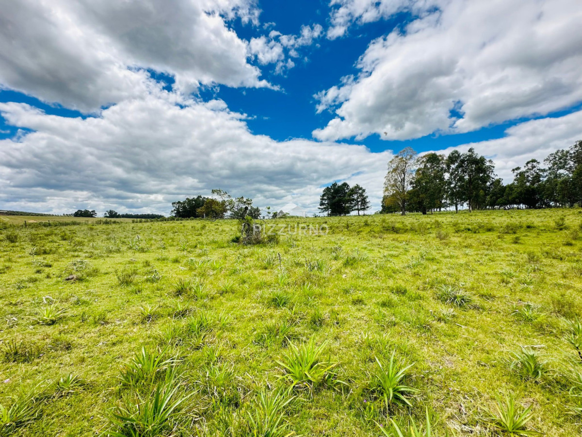 Chacra Ref.1190 - Chacra en venta, 5 hectareas, ruta 12, Maldonado