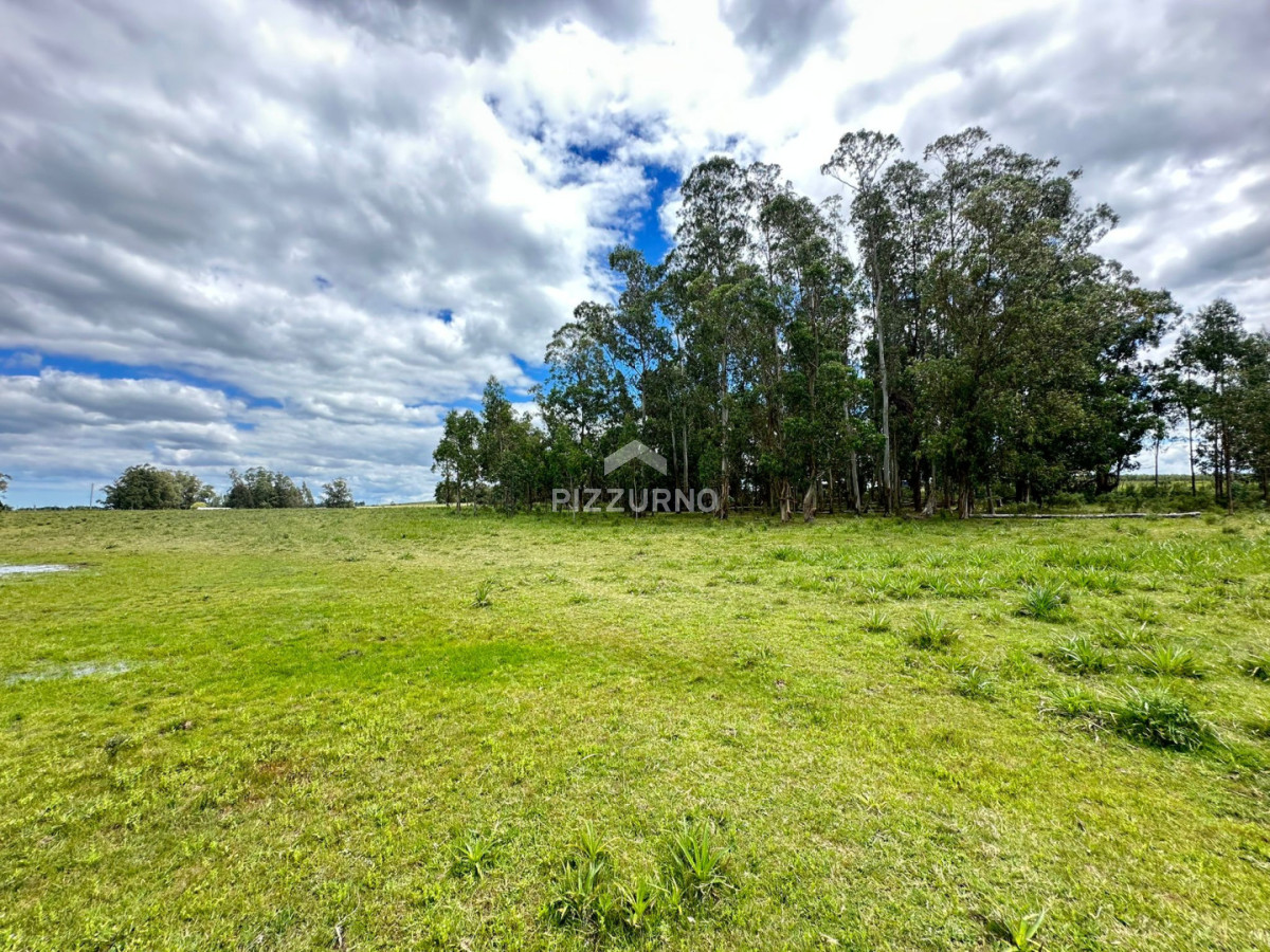 Chacra Ref.1190 - Chacra en venta, 5 hectareas, ruta 12, Maldonado
