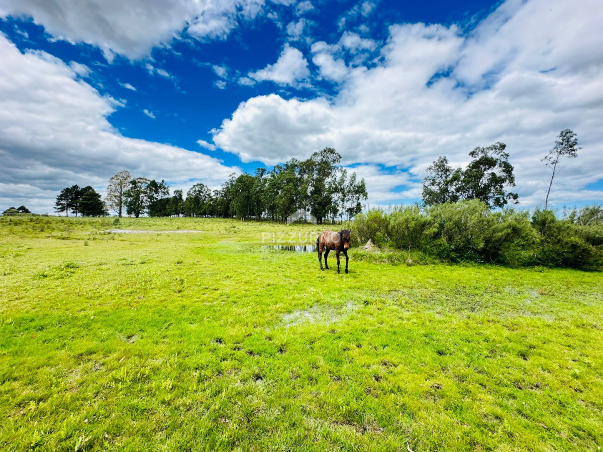 Chacra Ref.1190 - Chacra en venta, 5 hectareas, ruta 12, Maldonado
