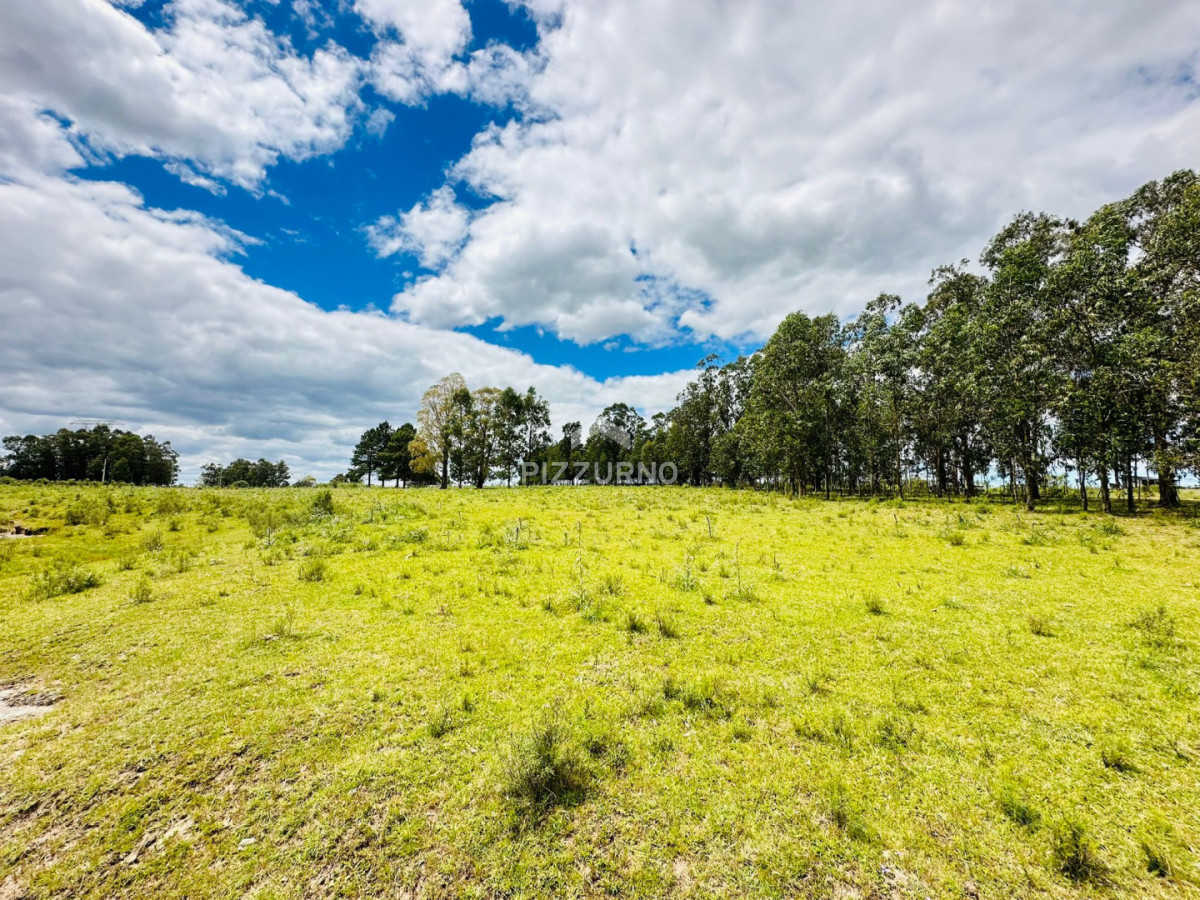 Chacra Ref.1190 - Chacra en venta, 5 hectareas, ruta 12, Maldonado