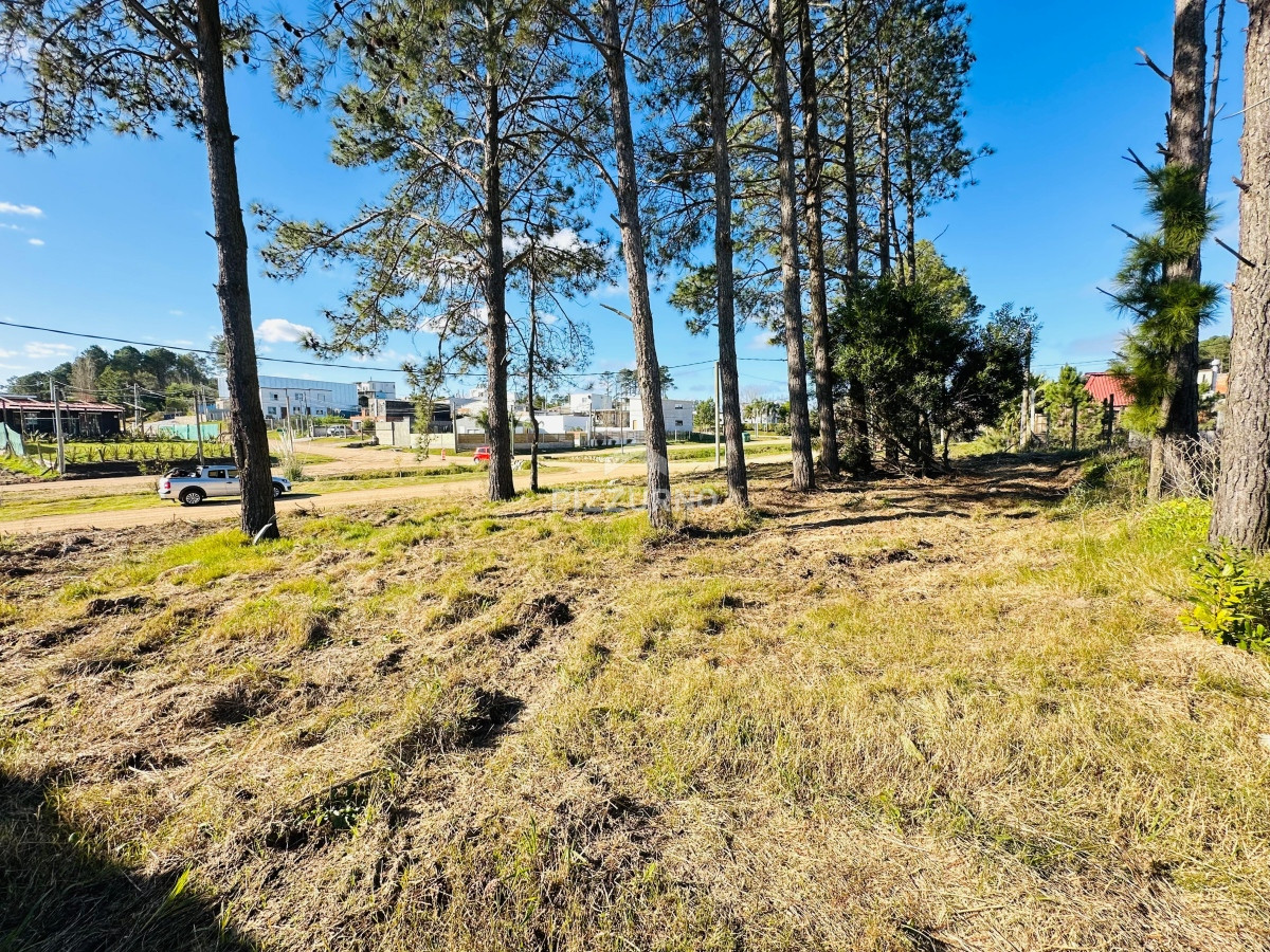 Terreno Ref.993 - Terreno en venta, Altos de la Laguna, Maldonado