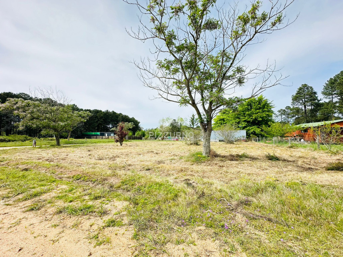 Terreno Ref.1010 - Terreno en venta Chacras del Pinar 1000m2