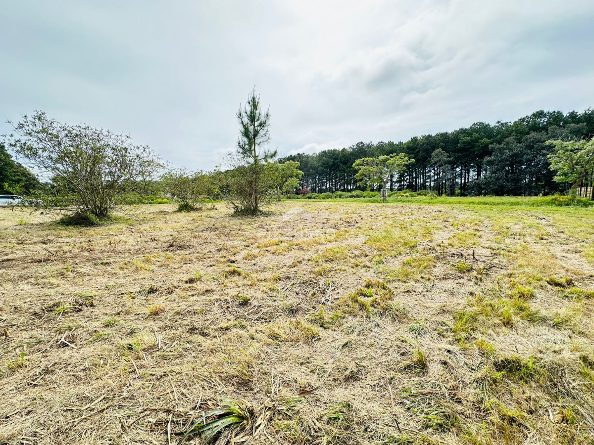 Terreno Ref.1010 - Terreno en venta Chacras del Pinar 1000m2
