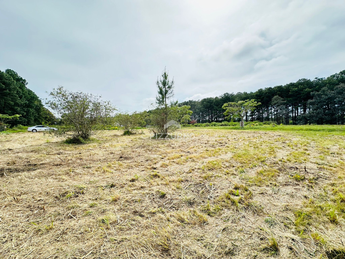 Terreno Ref.1010 - Terreno en venta Chacras del Pinar 1000m2