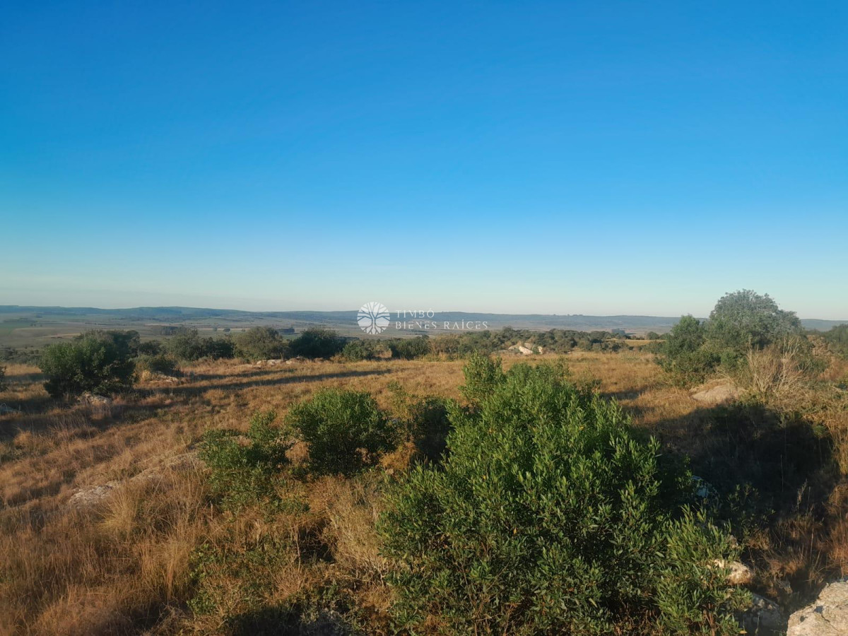 5 has - Sierras De Carape, Ruta 13, Km 195.500