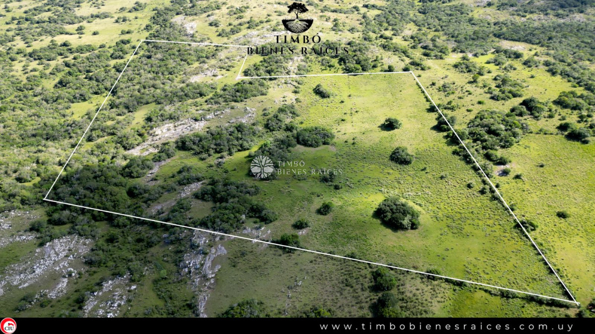 Zona del León Ruta 109