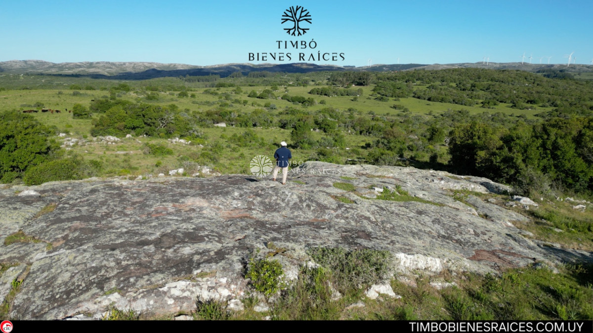 Paraje La Coronilla, en los valles del Cerro Catedral