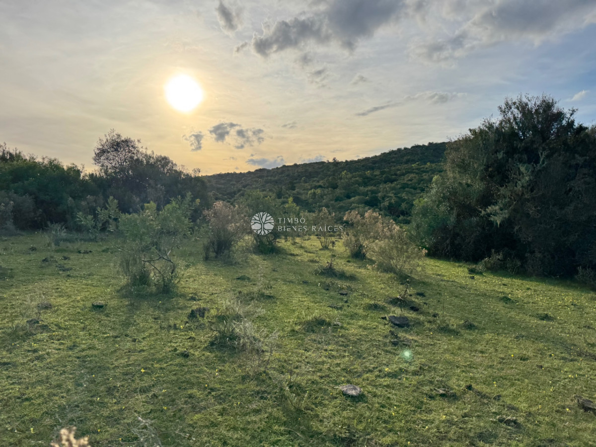 Zona del Cerro Negro - Aiguá