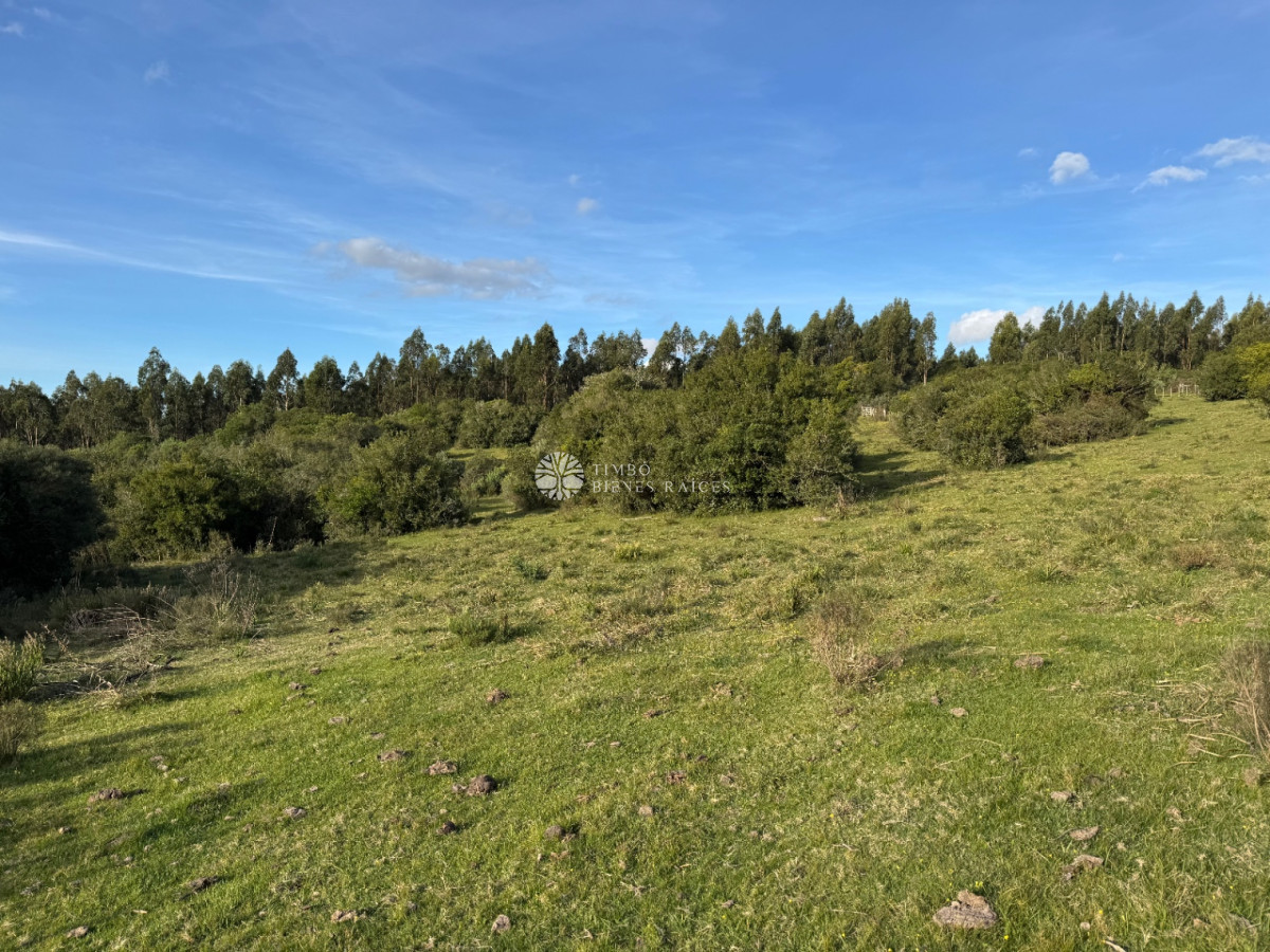 Zona La Coronilla y Cerro Negro - Aiguá