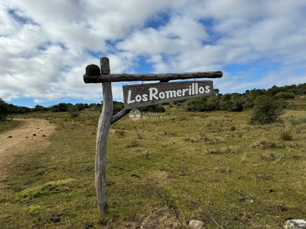 Proyecto en Conjunto, Timbó Bienes Raíces & Bonilla Propiedades