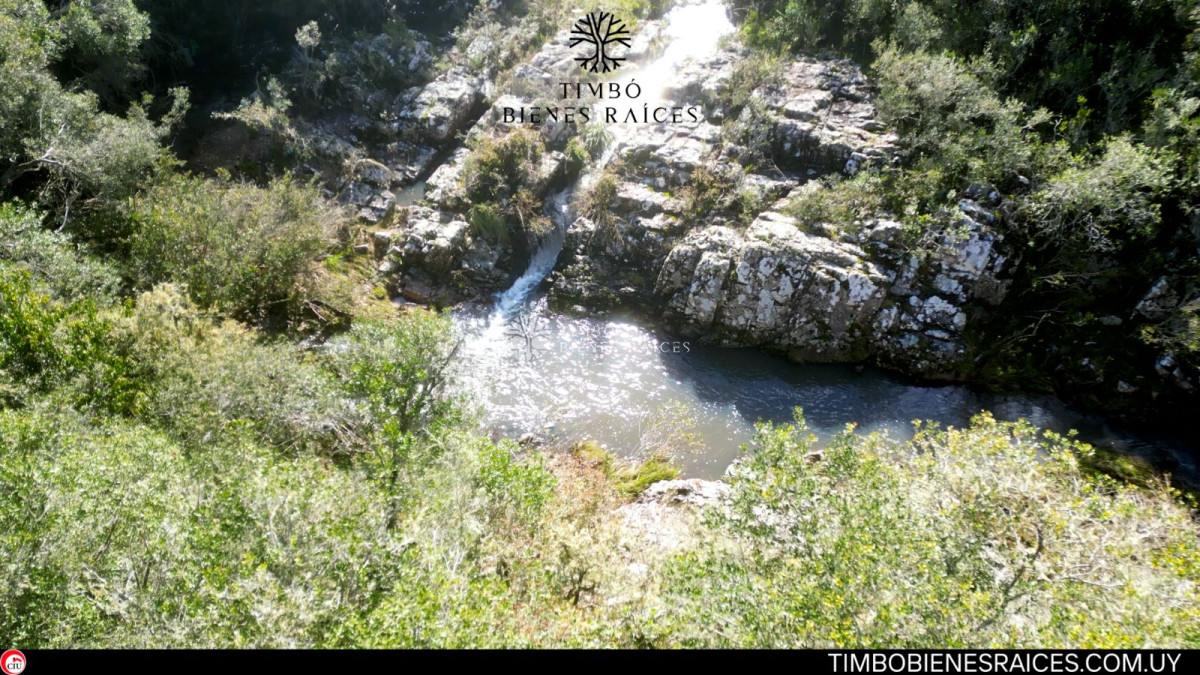 Paraje la Coronilla