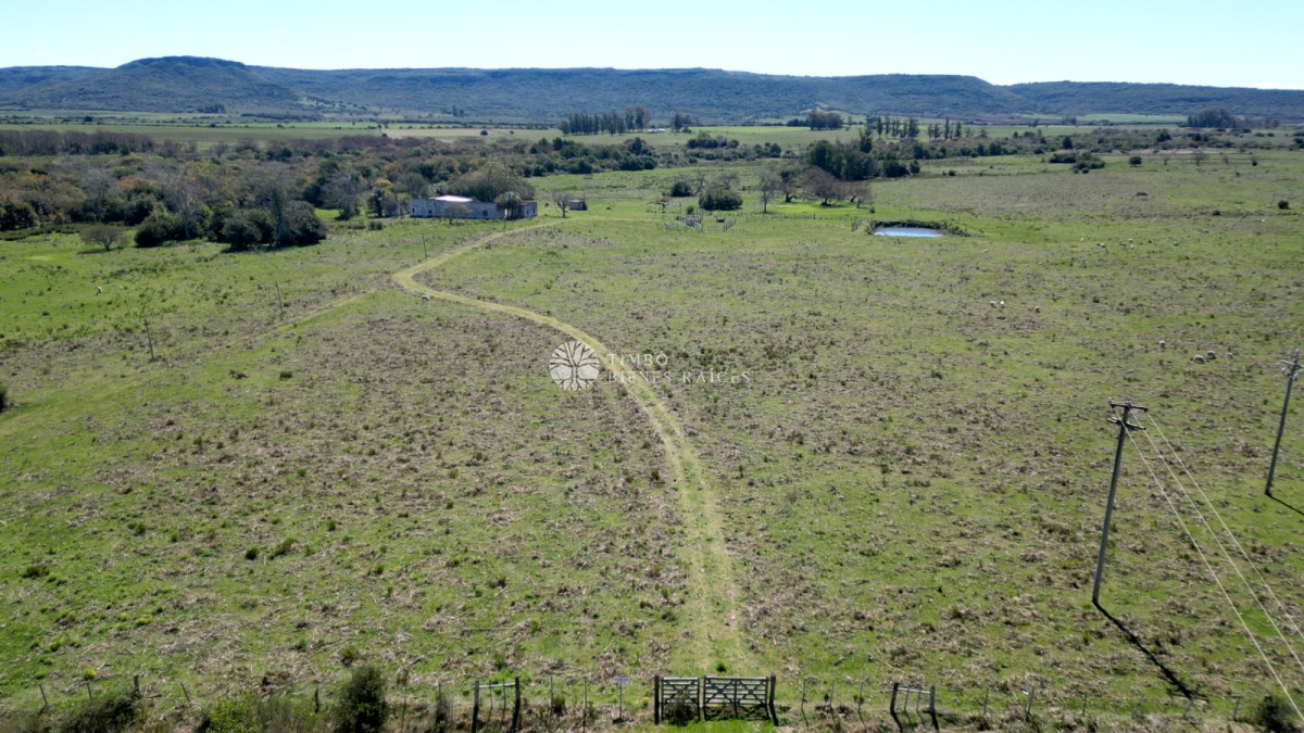 Ruta 13 Sarandi Aiguá