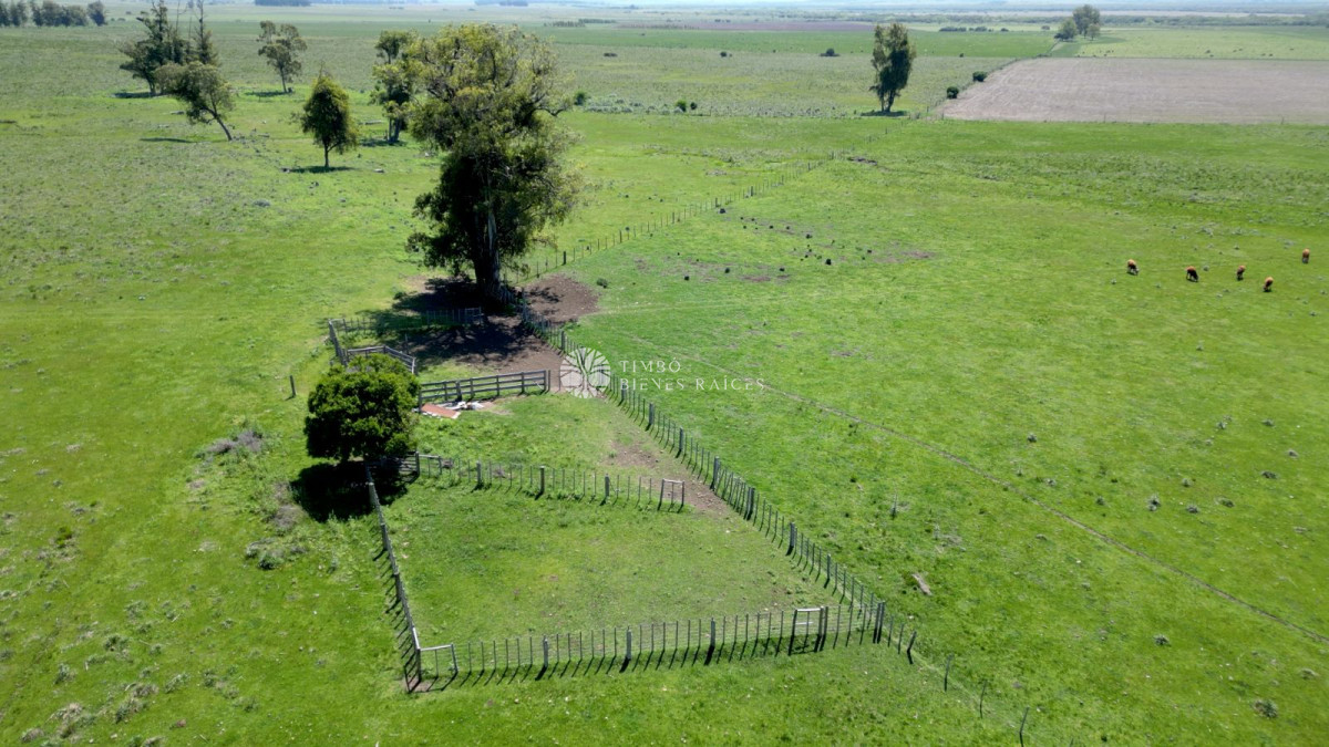 Zona de Salamanca, Aiguá