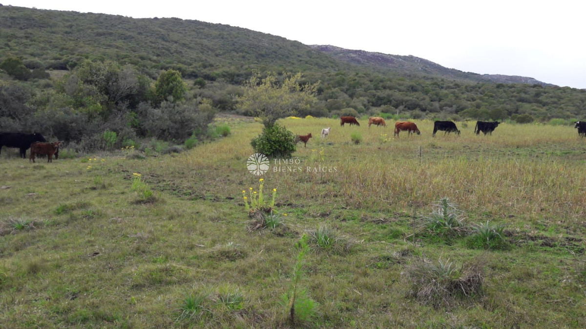 Cerro Negro