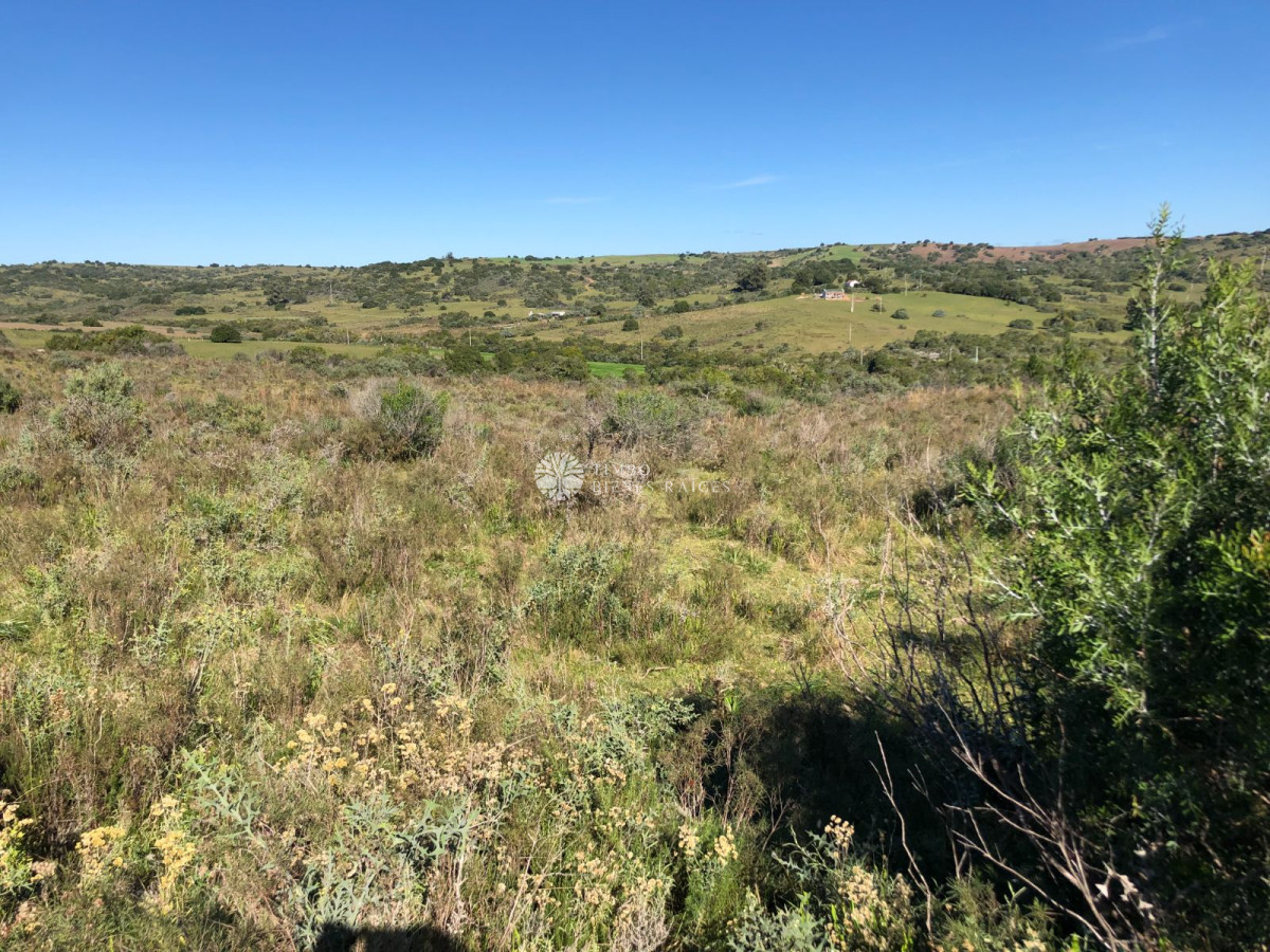 Paraje La Coronilla