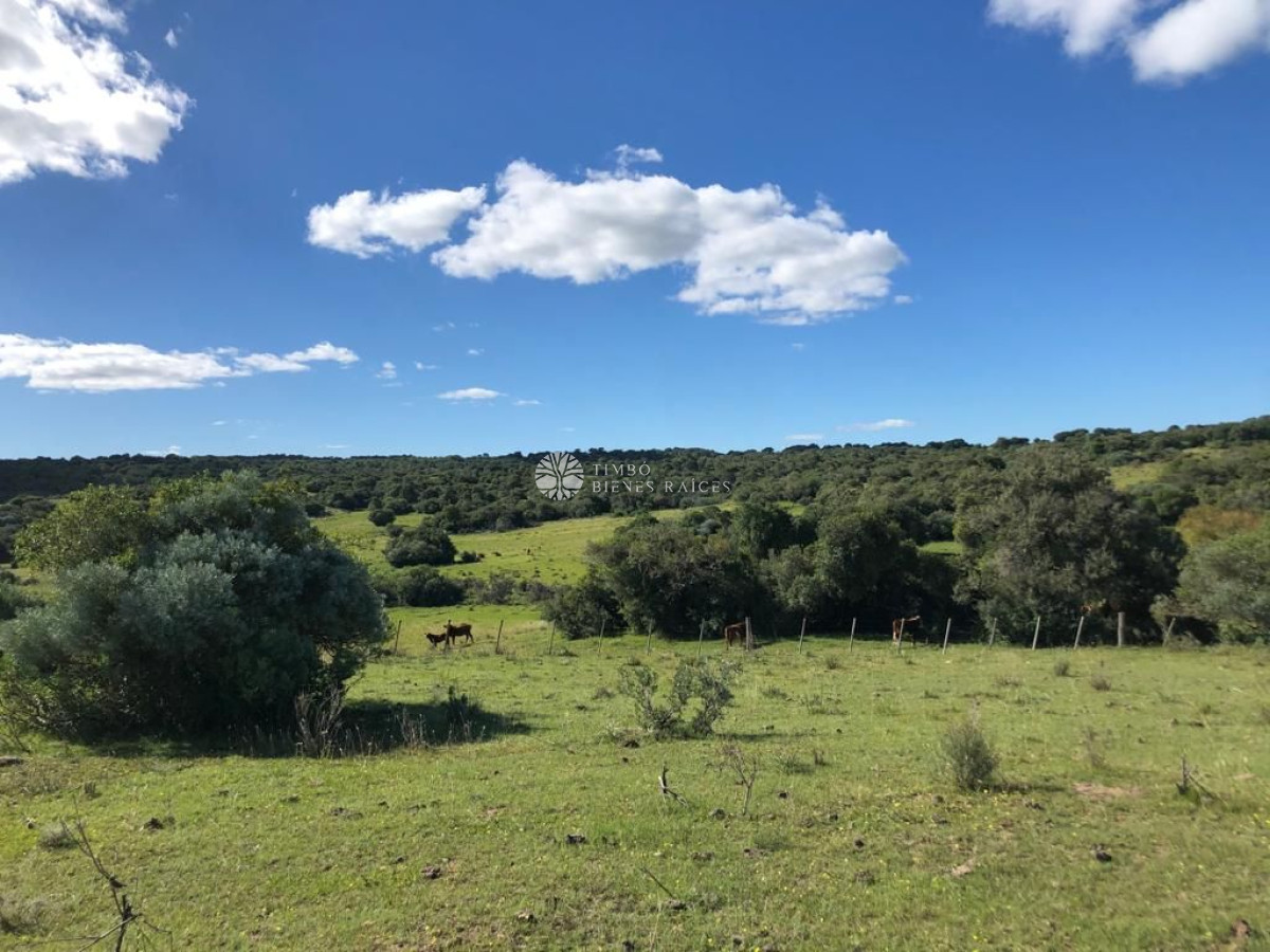 Ruta 109 próximo a Aiguá