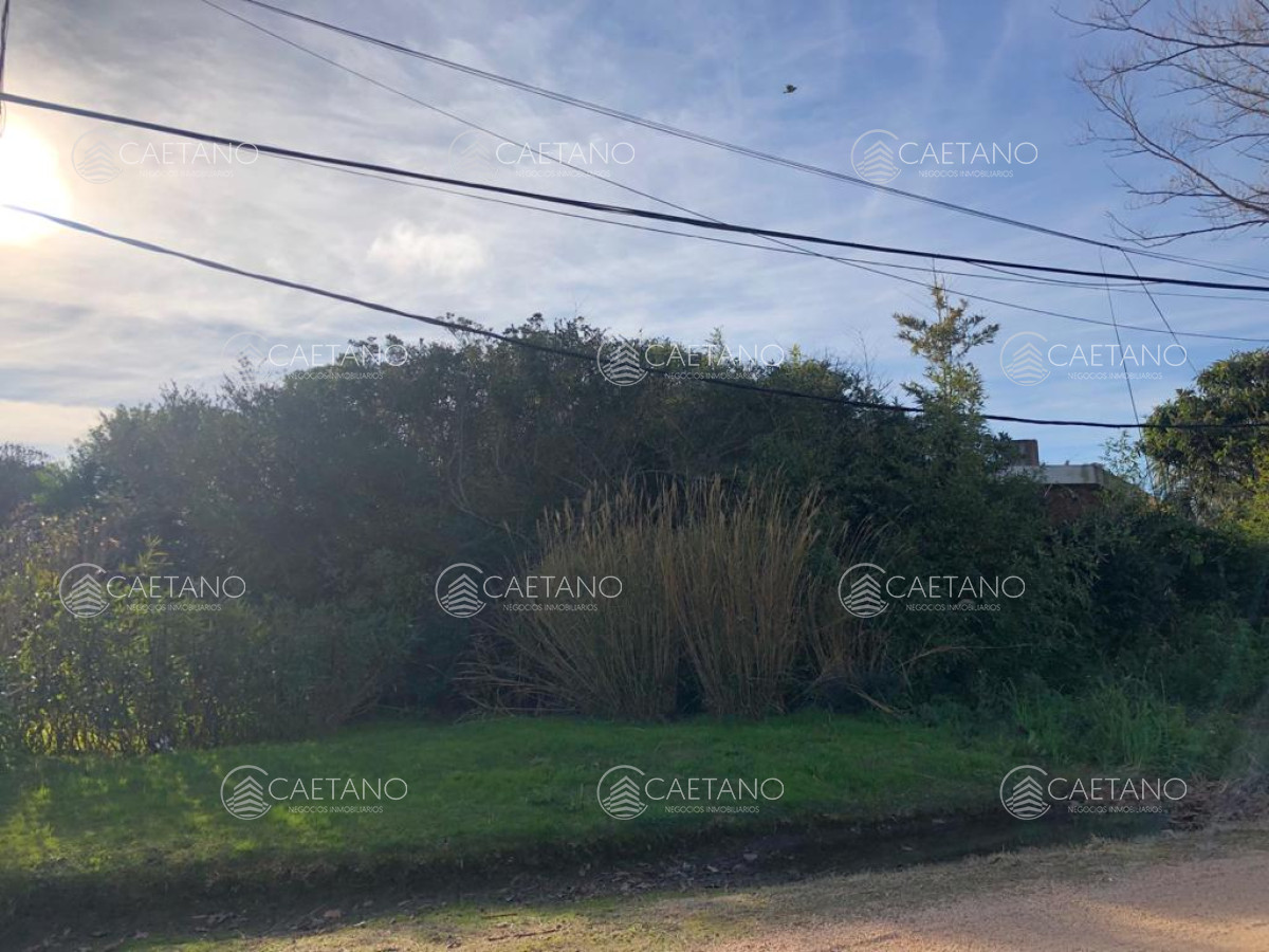 El Chorro - GoPunta - Portal Inmobiliario de Punta del Este - Maldonado