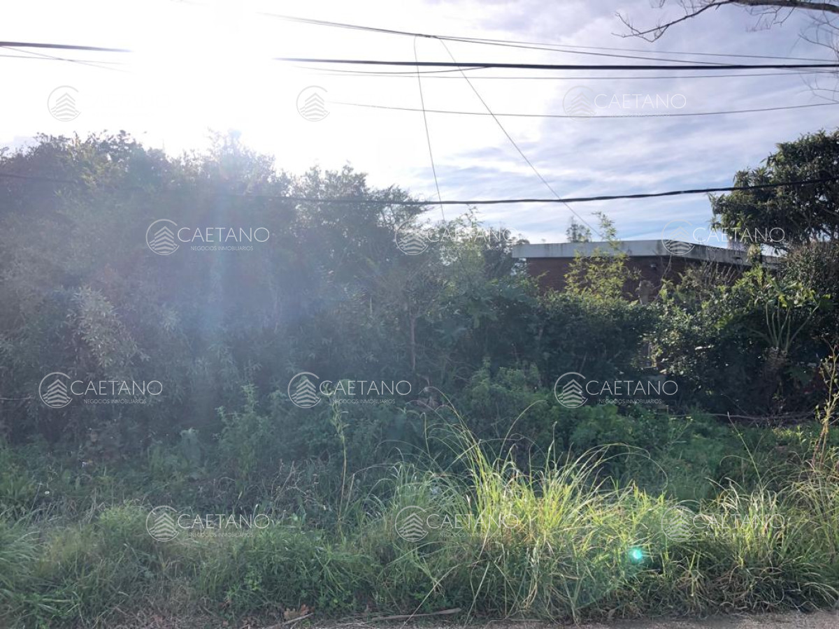 El Chorro - GoPunta - Portal Inmobiliario de Punta del Este - Maldonado