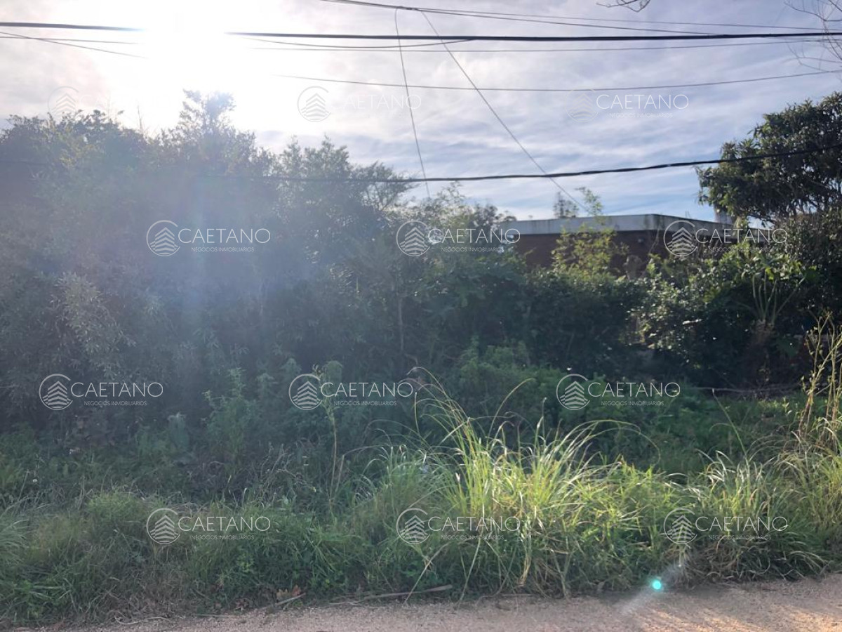 El Chorro - GoPunta - Portal Inmobiliario de Punta del Este - Maldonado
