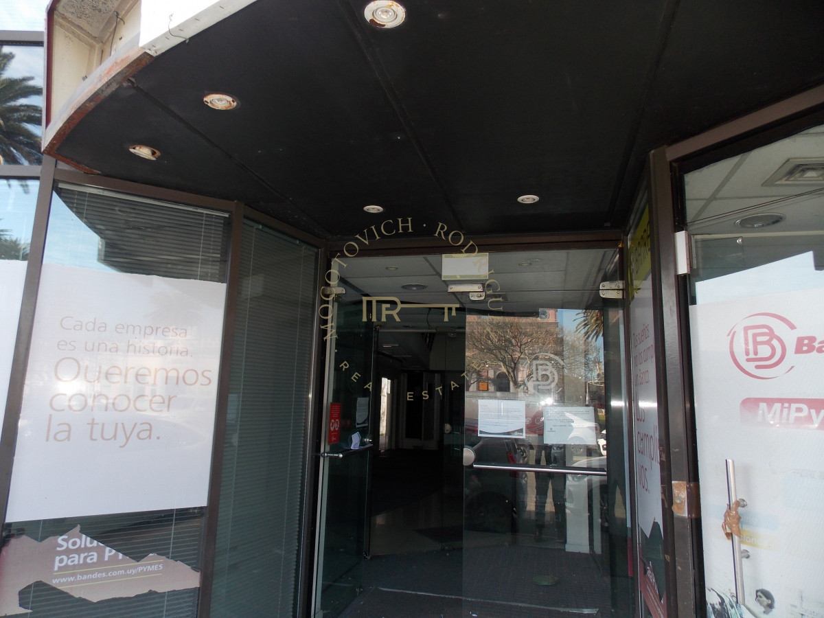 Local Comercial ID.1873 - LOCAL CENTRO MALDONADO EN ALQUILER 