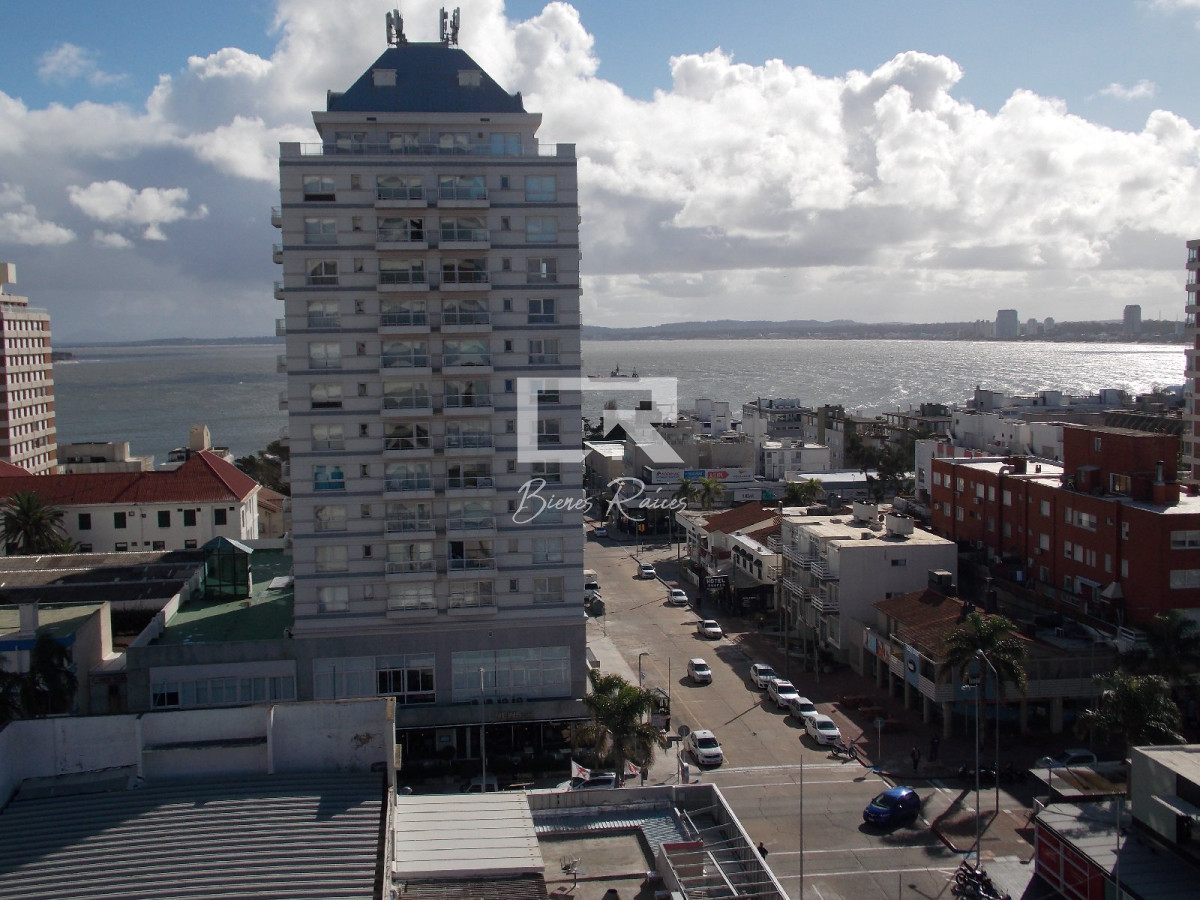 Apartamento ID.617 - Clasica Torre en Peninsula,   Vista de todos los ambientes