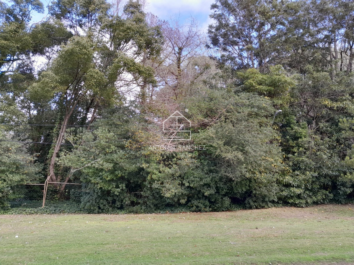 Terreno ID.1790 - SAN RAFAEL OPORTUNIDAD