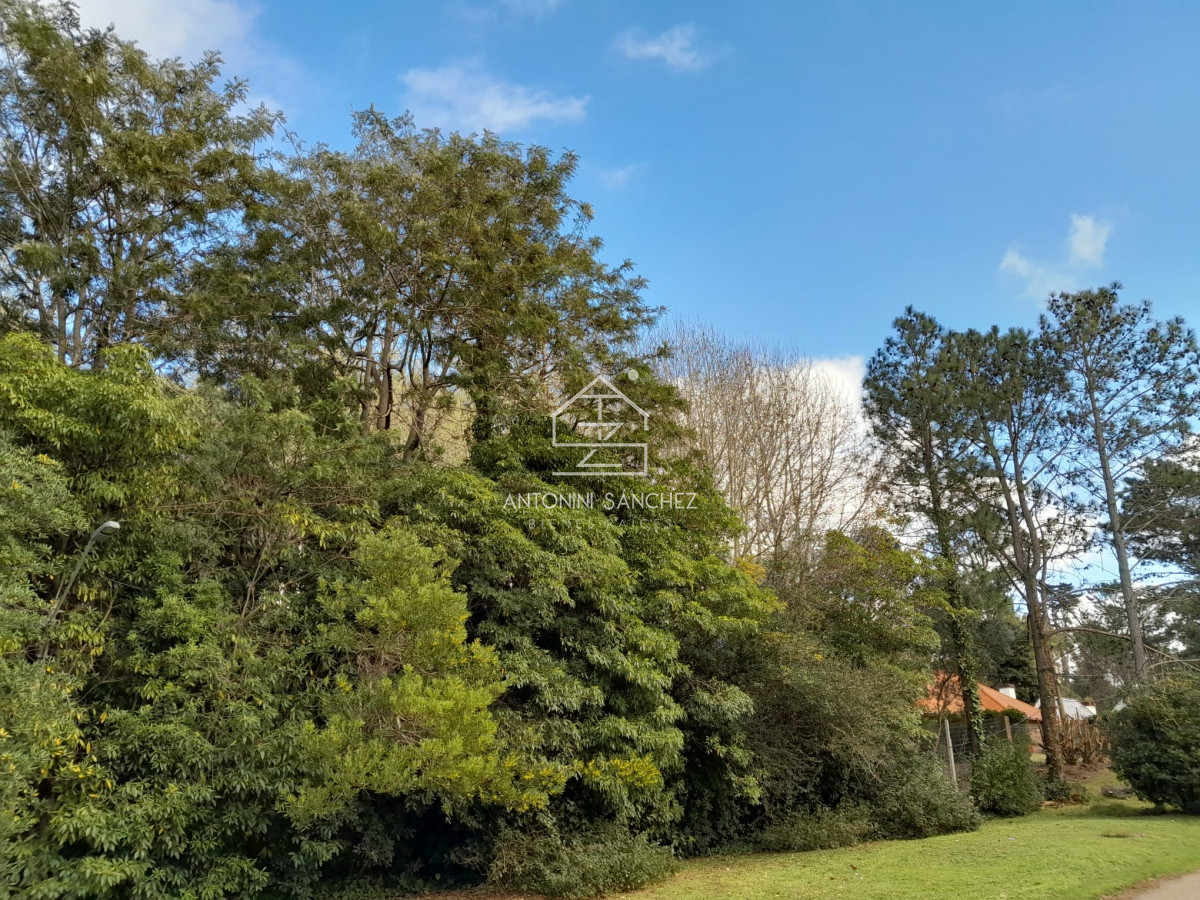 Terreno ID.1790 - SAN RAFAEL OPORTUNIDAD
