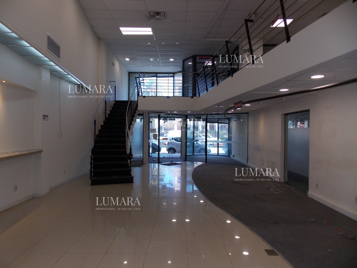 Local Comercial ID.3362 - LOCAL EN EL CENTRO DE MALDONADO EN ALQUILER 