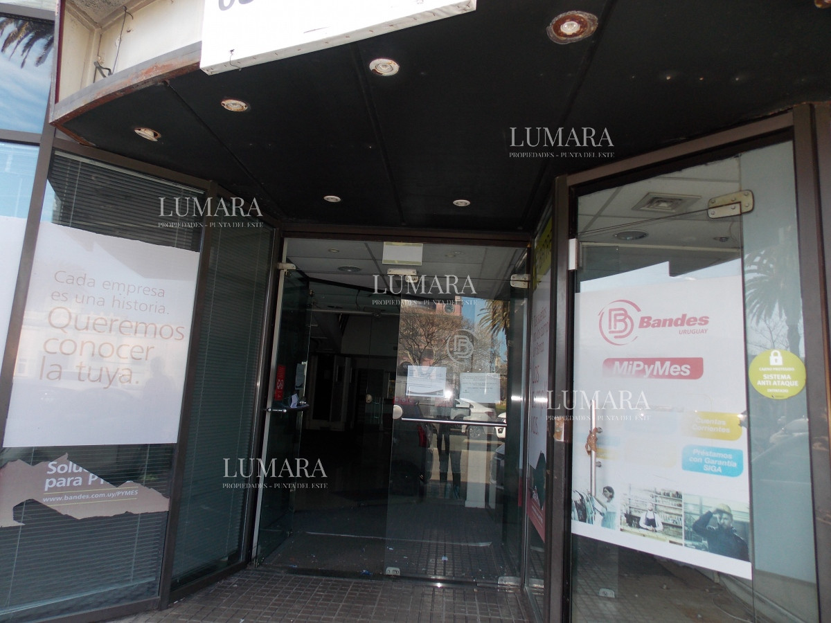 Local Comercial ID.3362 - LOCAL EN EL CENTRO DE MALDONADO EN ALQUILER 