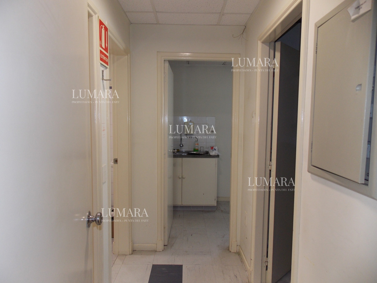 Local Comercial ID.3362 - LOCAL EN EL CENTRO DE MALDONADO EN ALQUILER 