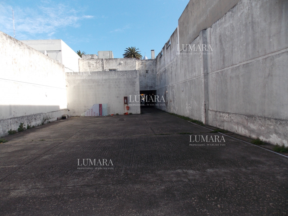 Local Comercial ID.3362 - LOCAL EN EL CENTRO DE MALDONADO EN ALQUILER 