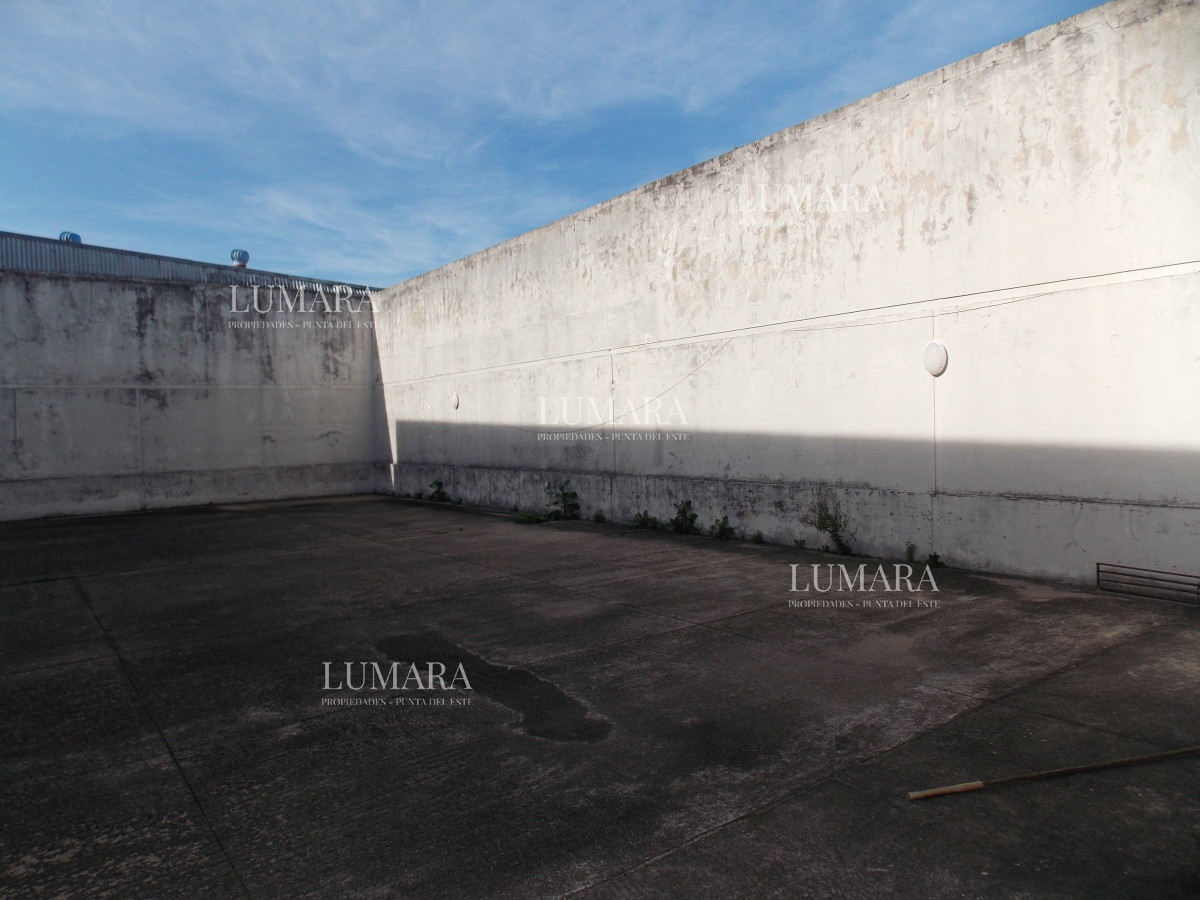 Local Comercial ID.3362 - LOCAL EN EL CENTRO DE MALDONADO EN ALQUILER 