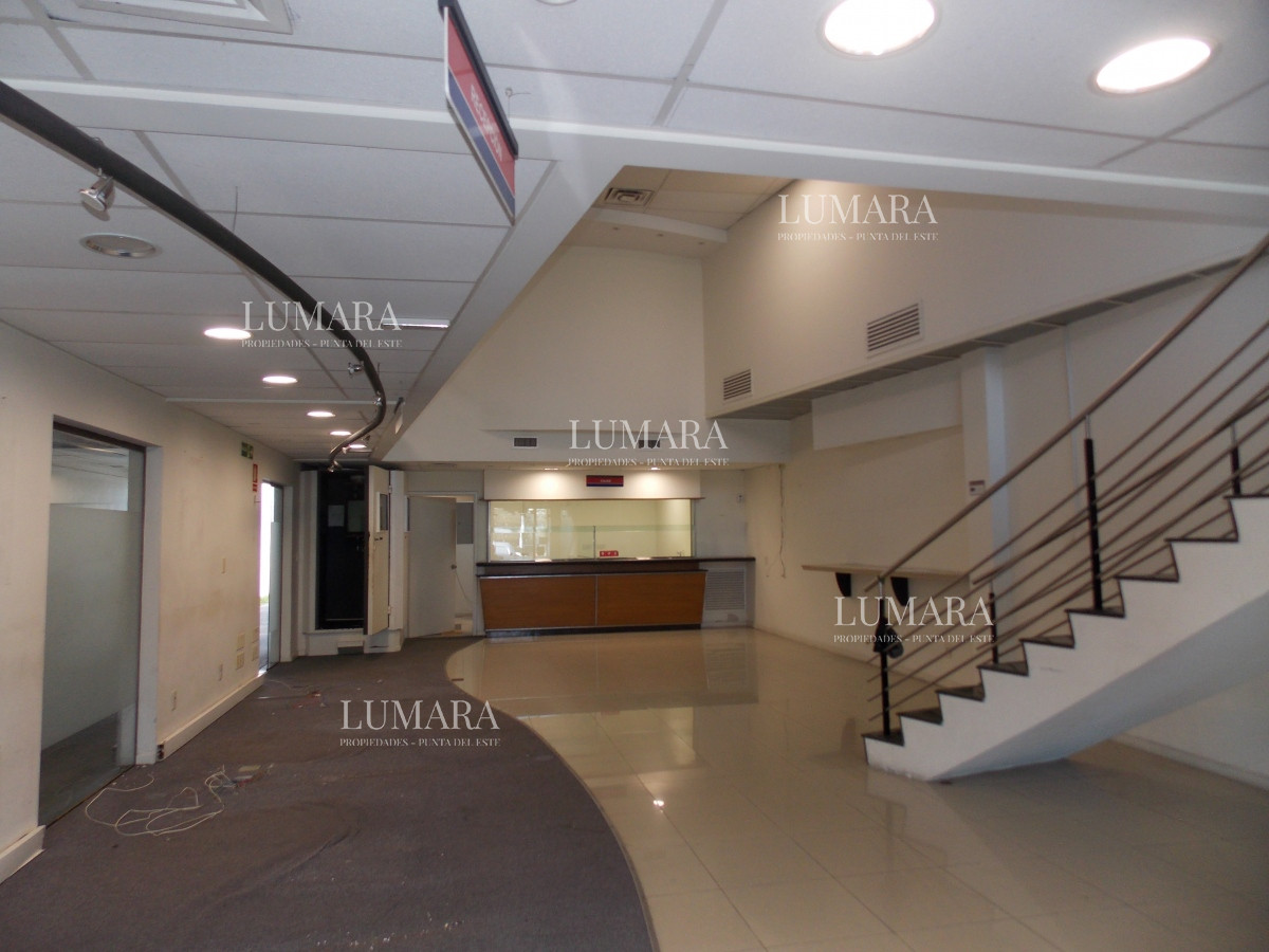 Local Comercial ID.3362 - LOCAL EN EL CENTRO DE MALDONADO EN ALQUILER 
