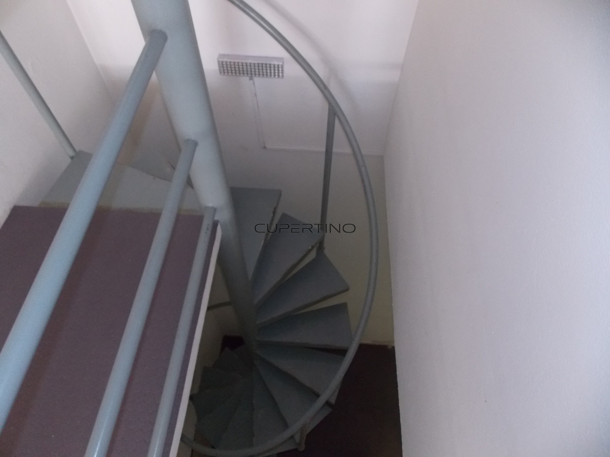 Local Comercial ID.375 - LOCAL CENTRICO CALLE 29  venta con renta