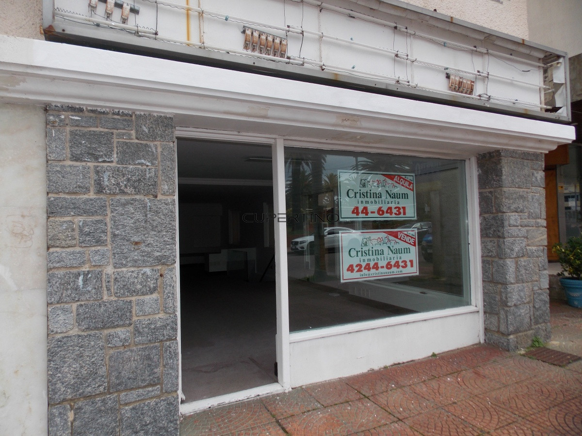Local Comercial ID.2179 - PENINSULA - EXCELENTE LOCAL SOBRE CALLE GORLERO !!!