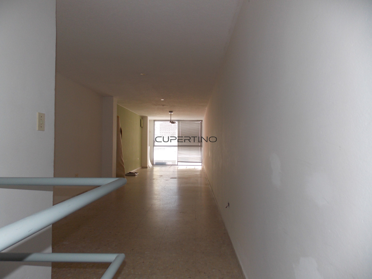 Local Comercial ID.375 - LOCAL CENTRICO CALLE 29  venta con renta