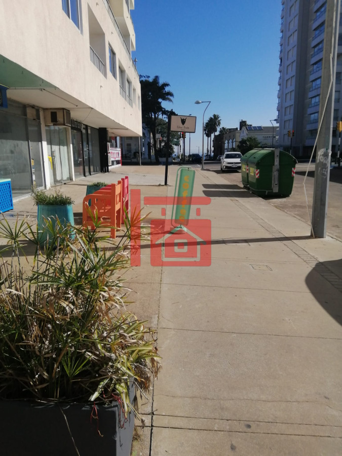 Local Comercial ID.708 - PENINSULA - LOCAL MUY BIEN UBICADO