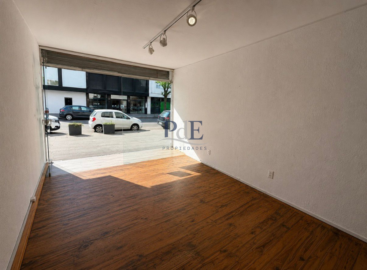 Local Comercial en venta o alquiler en plena Península!! - Imagen 3