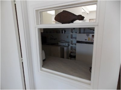 Vanguardia parada 1 mansa  - CNI15A