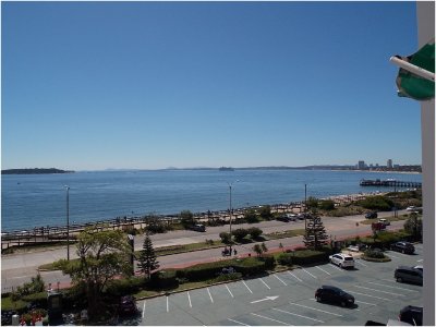 Vanguardia parada 1 mansa  - CNI15A