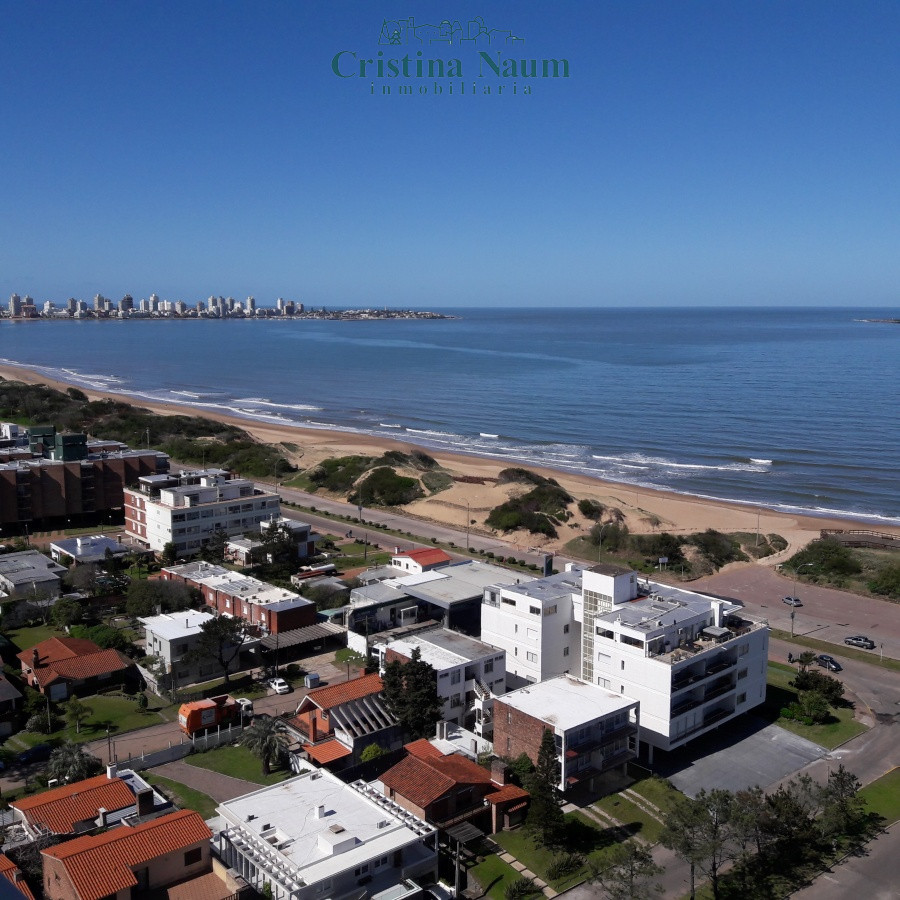 Le Jardin parada 16 mansa - CNI4267A
