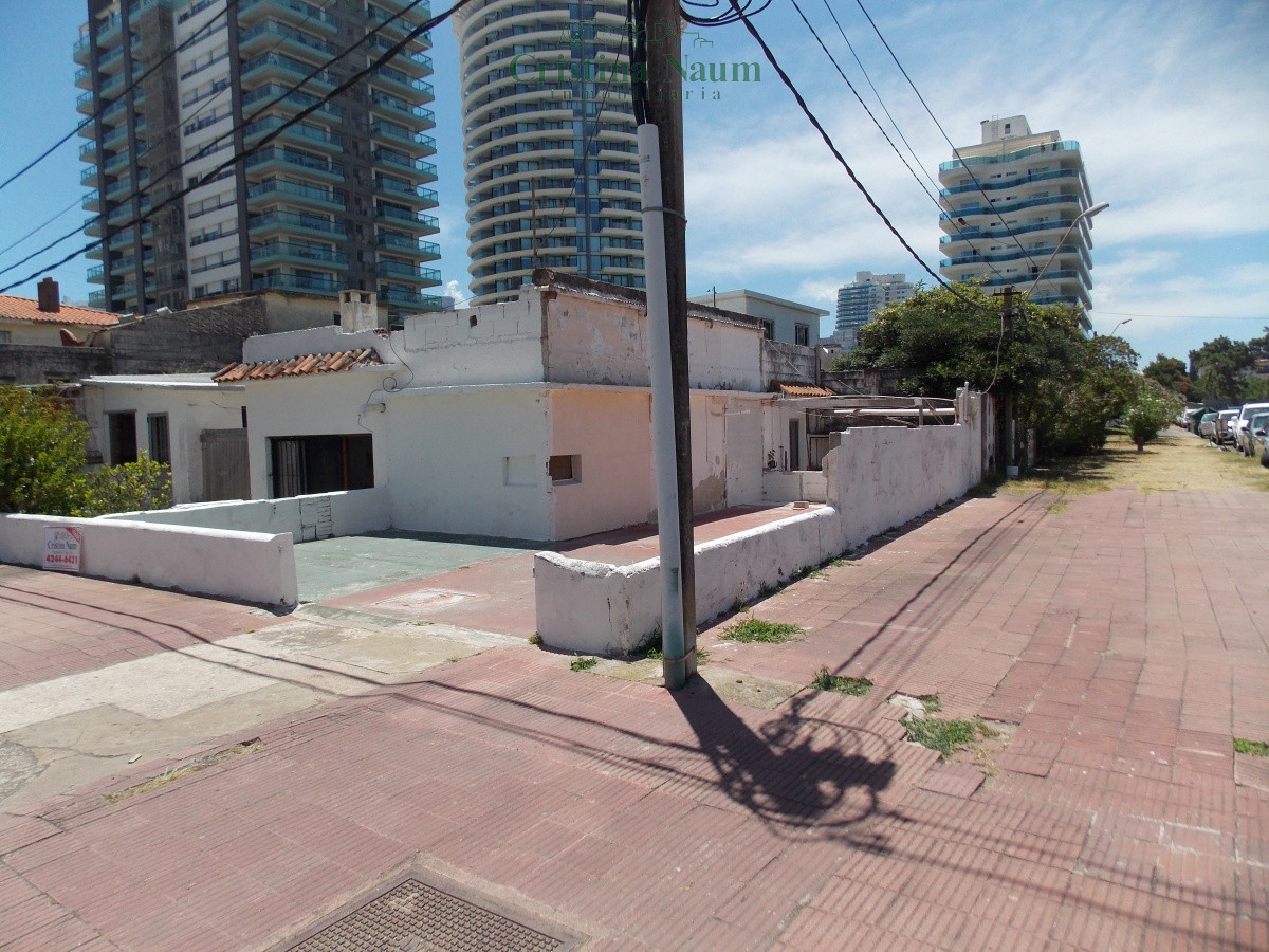 Aidy Grill - GoPunta - Portal Inmobiliario de Punta del Este - Maldonado