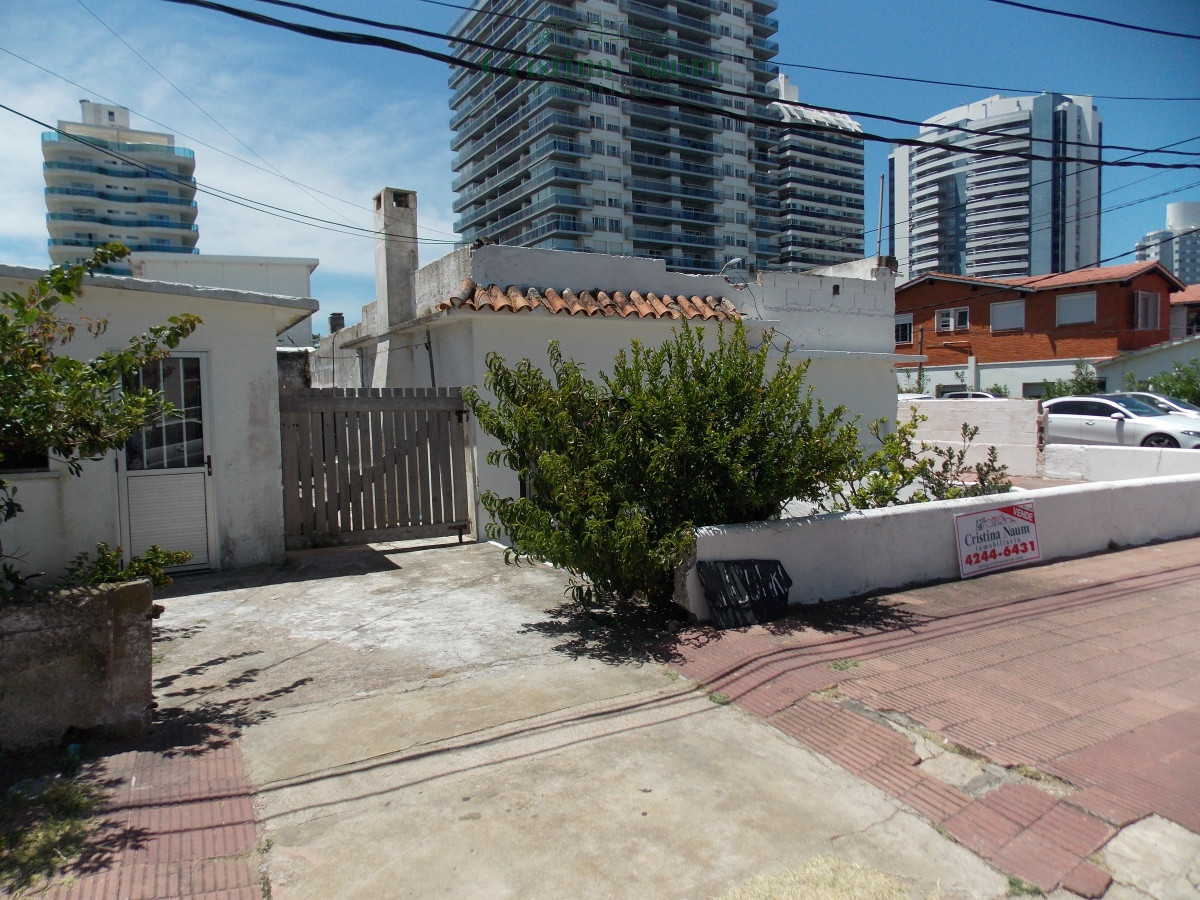 Aidy Grill - GoPunta - Portal Inmobiliario de Punta del Este - Maldonado
