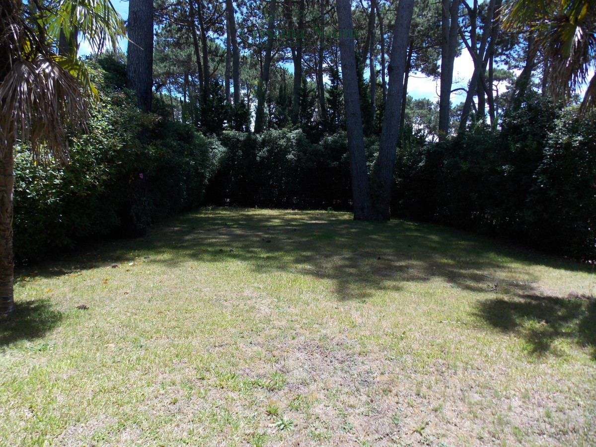 Montoya - GoPunta - Portal Inmobiliario de Punta del Este - Maldonado