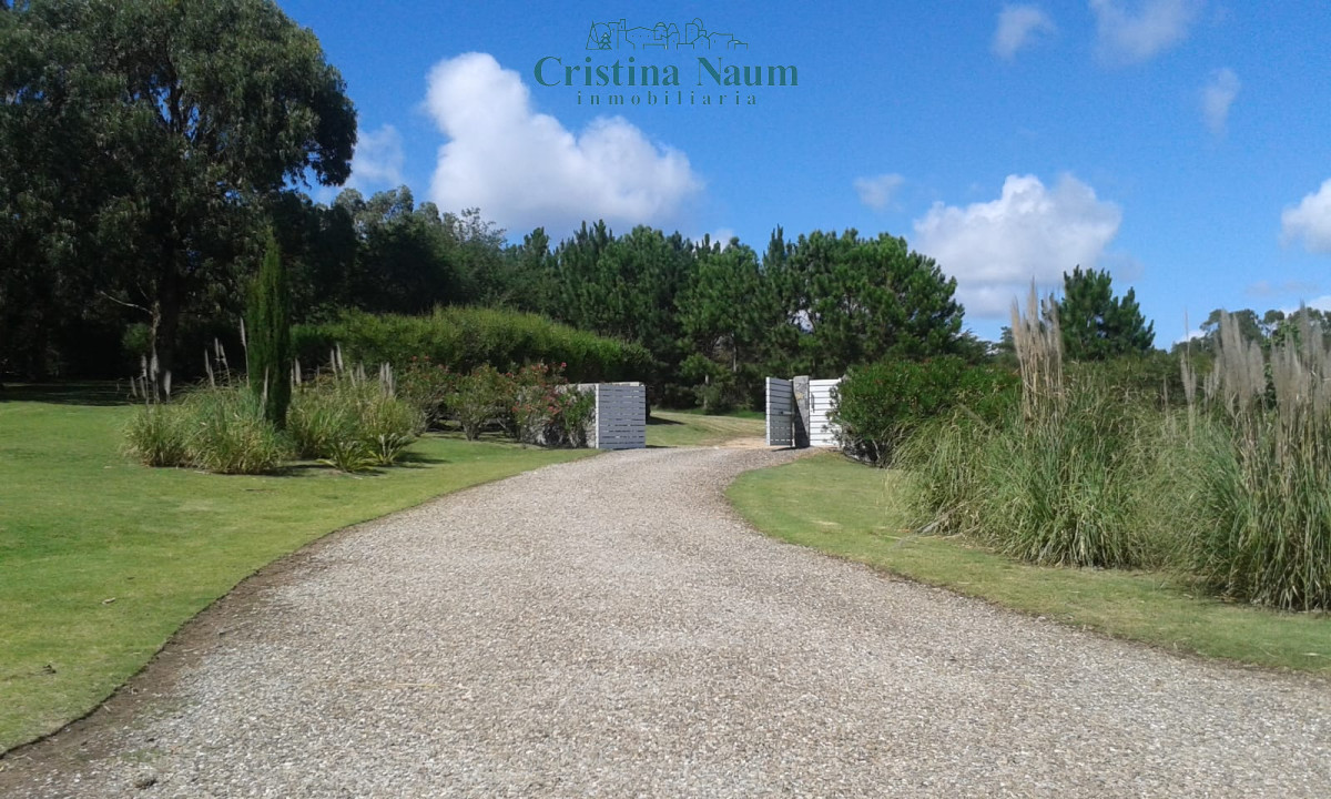 Mangrullos de Punta Piedras - GoPunta - Portal Inmobiliario de Punta del Este - Maldonado