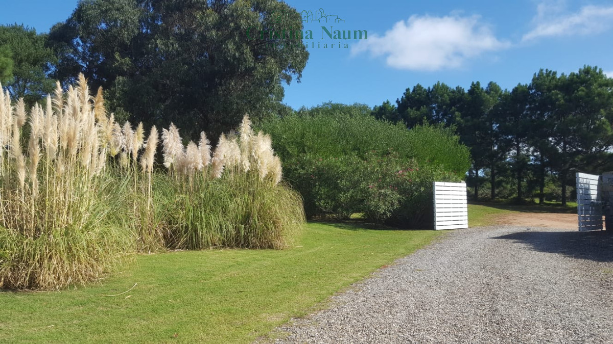 Mangrullos de Punta Piedras - GoPunta - Portal Inmobiliario de Punta del Este - Maldonado
