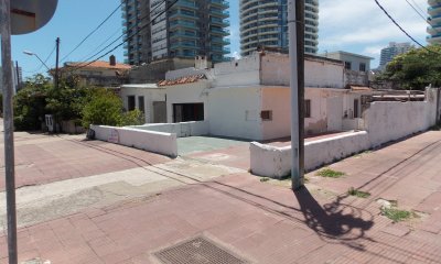 LA PASTORA PARADA 2