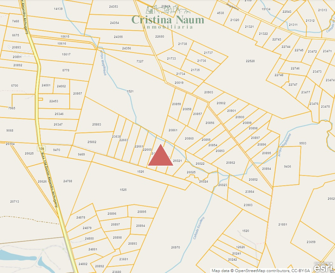Ruta 104 2 chacras de 5 has cada una - GoPunta - Portal Inmobiliario de Punta del Este - Maldonado